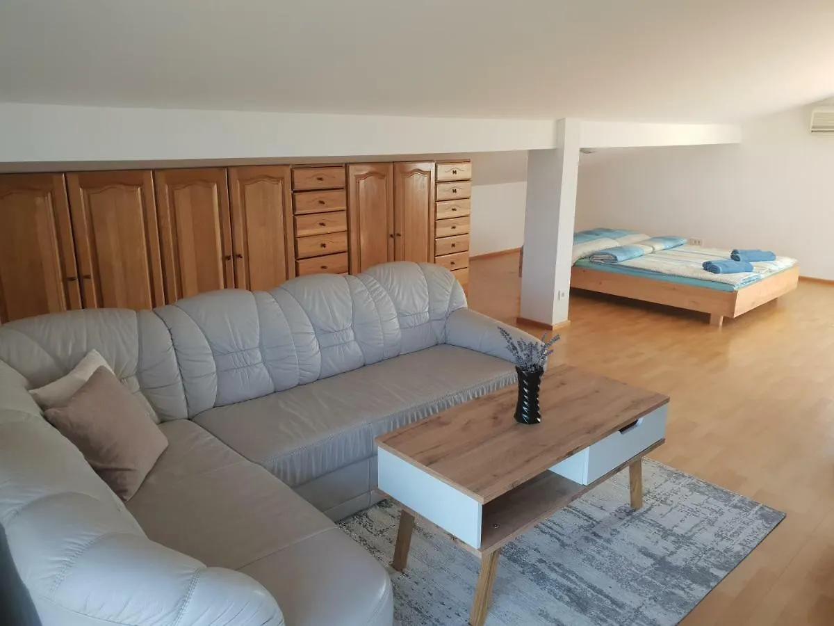 Apartment Luca プーラ